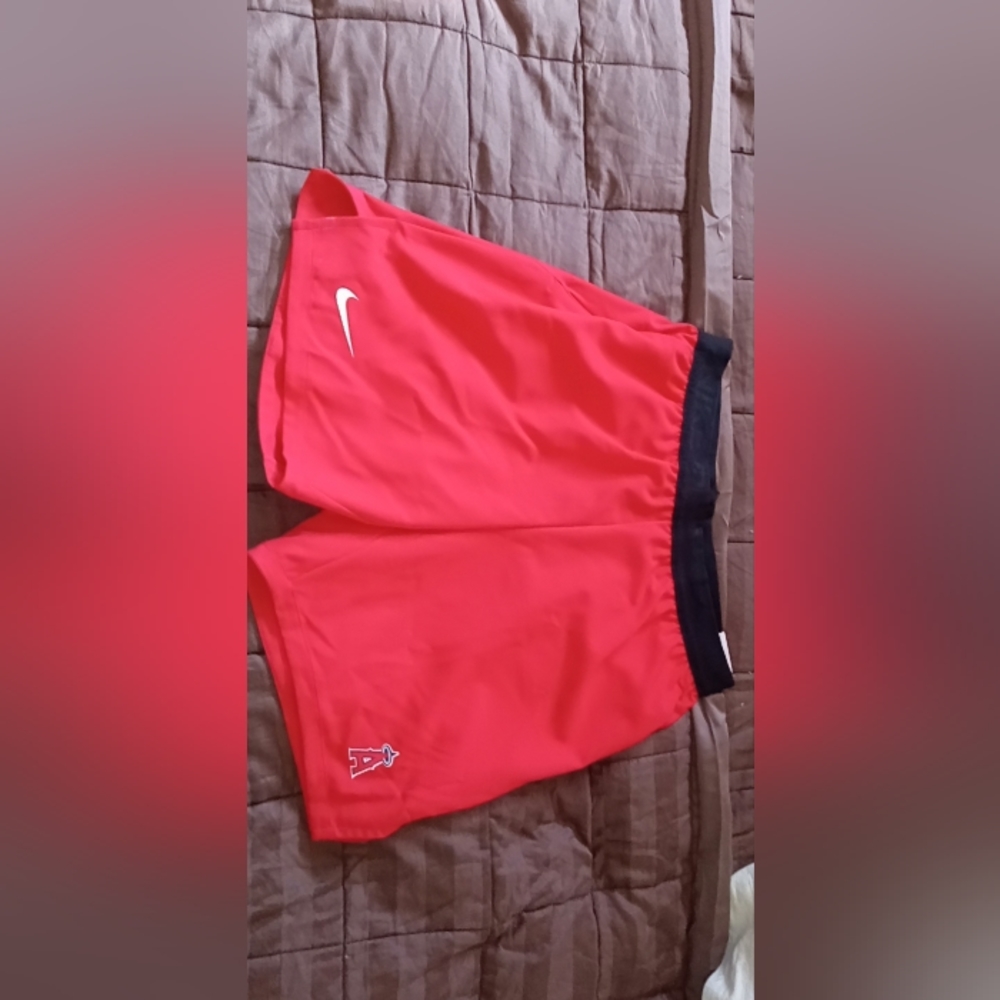Nikepro shorts
